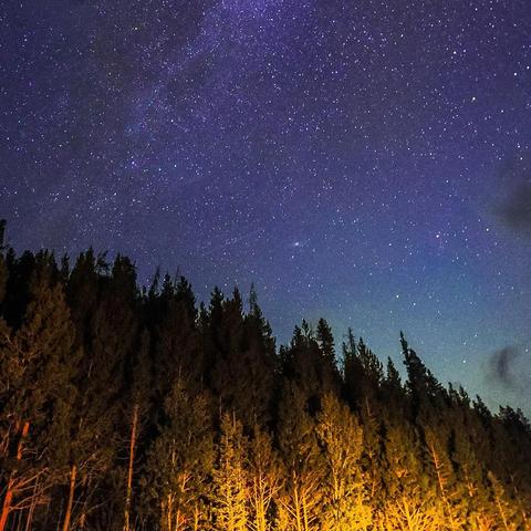 网站大型网页游戏，数字娱乐的璀璨星河