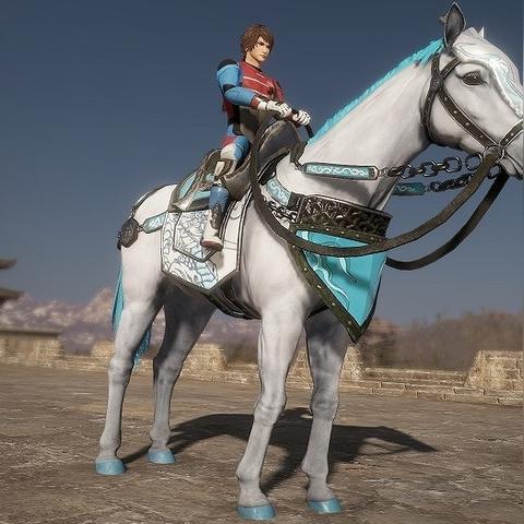 三国无双4秘籍,  快速升级有什么技巧？