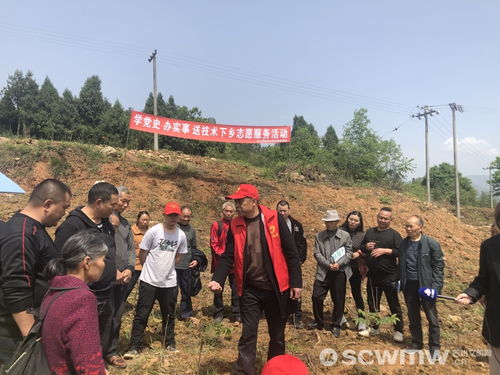 空间留言外挂,有什么快速处理方式？