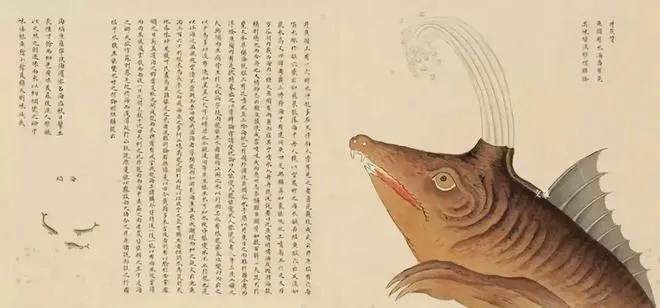 《海错图》养成秘籍:掌握必胜法则,轻松升级新攻略! 《海错图》养成秘籍:掌握必胜法则,轻松升级新攻略!