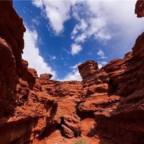 《侏罗纪世界进化3》园区攻略：高效管理秘诀，打造梦幻侏罗纪