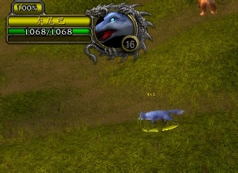 魔兽世界猎人必抓：那些稀有宝宝的捕捉指南