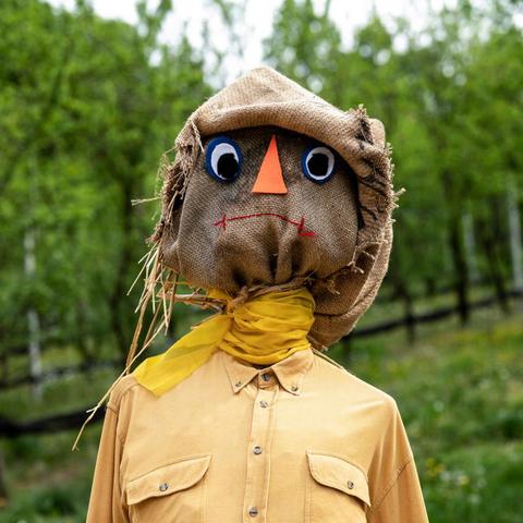 2022 年稻草人出装全解析，助你称霸峡谷