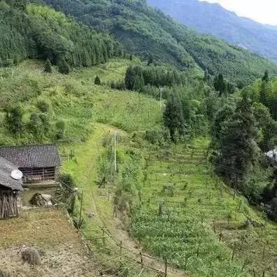 《明末渊虚之羽》法师流攻略：揭秘高效法师玩法技巧