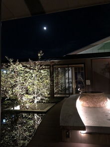 《爱氏物语》隐藏温泉旅馆攻略：揭秘解锁隐藏结局的神秘之门