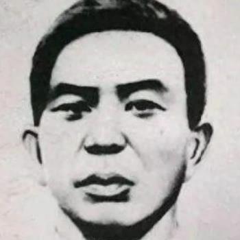 《王之凝视》轮椅流派攻略:深度解析,新手必看秘籍 《王之凝视》轮椅流派攻略:深度解析,新手必看秘籍