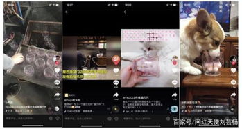 海瑟音抽取攻略:必抽理由揭秘,错过就亏大了! 海瑟音抽取攻略:必抽理由揭秘,错过就亏大了!