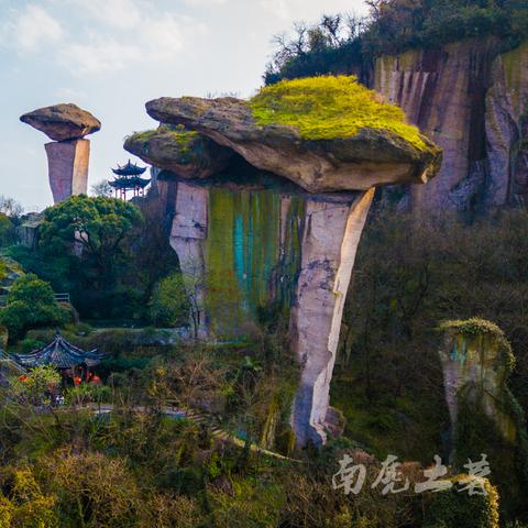 《明末渊虚之羽》笋精全笋位攻略：快速掌握隐藏笋精分布