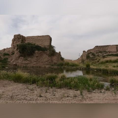 《禁闭求生2》织蜘蛛坐骑攻略:快速获取独门秘籍! 《禁闭求生2》织蜘蛛坐骑攻略:快速获取独门秘籍!