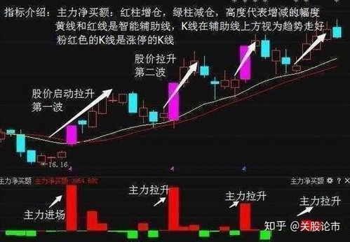 九头蛇流攻略揭秘：掌握独特玩法，轻松制胜之道