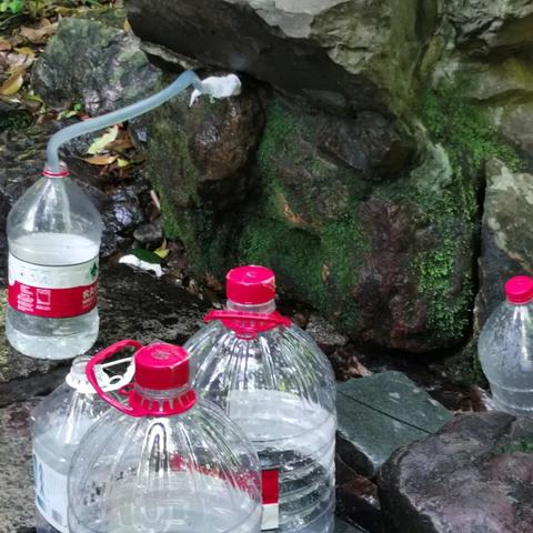 剑加长枪绝配攻略！《明末渊虚之羽》打造最强战力秘籍