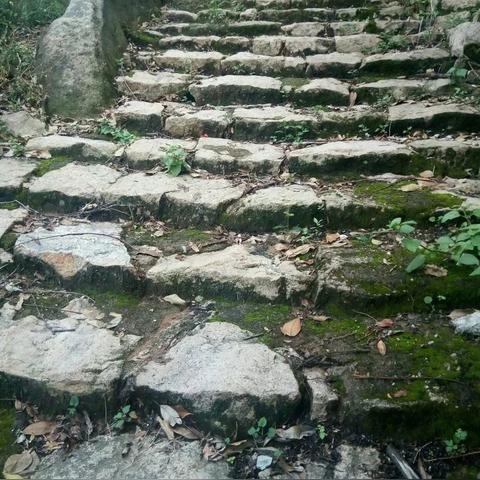 《明末渊虚之羽》耐力属性解析：提升生存力，解锁战斗新境界