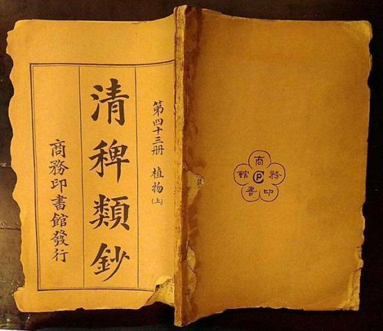 《明末渊虚之羽》揭秘：蜀神居所神龛攻略，快速定位新玩法