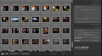 《明末渊虚之羽》鸟人居所神龛攻略：揭秘神秘位置与高效路线