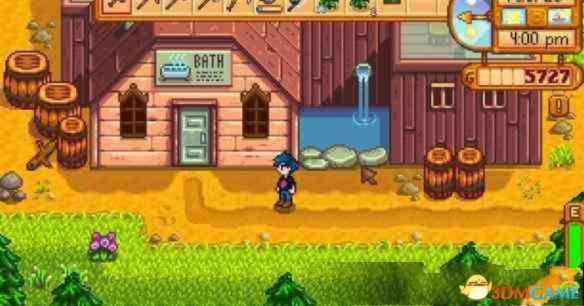 《星露谷物语》宝石复制技巧揭秘：高效宝石复制攻略全解析