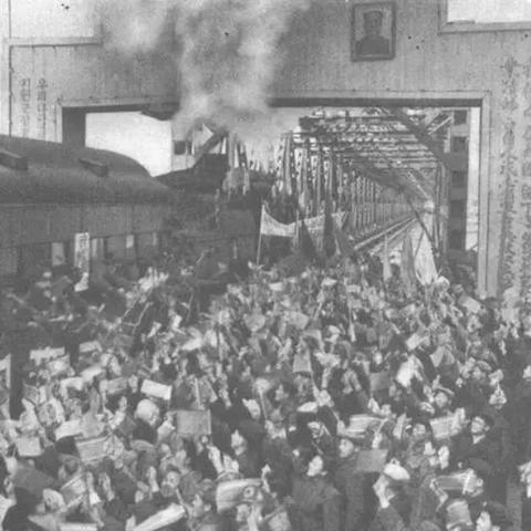 《胜利女神》饼干培养攻略：高效抽取技巧与强力阵容推荐