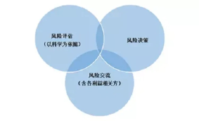 探寻下载途径，合法性与风险的权衡