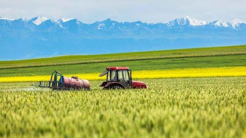 《燕云十六声》交易行攻略：揭秘隐藏位置，轻松交易无忧