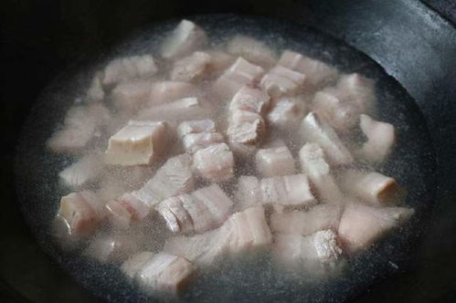 《金铲铲之战》S14超频猫狗攻略:掌握超频猫狗玩法技巧 《金铲铲之战》S14超频猫狗攻略:掌握超频猫狗玩法技巧