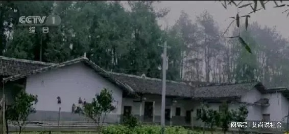 探寻风雨稻香村，秦雷踪迹成谜