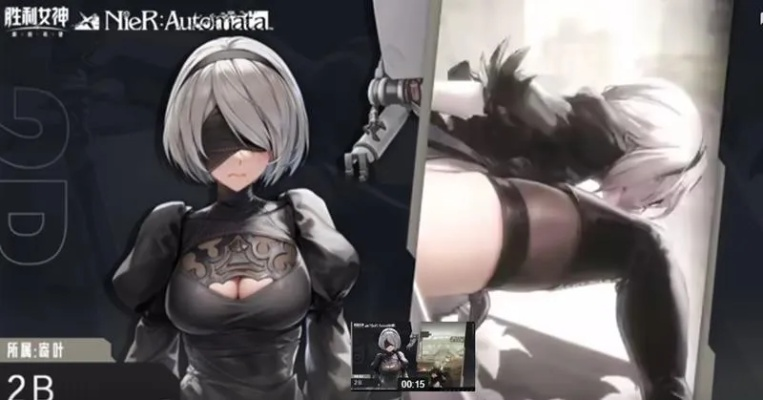 《胜利女神》新希望2B联动卡池解析：技能解析与最佳搭配攻略