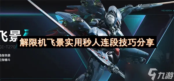 《解限机》飞景攻略深度解析：实战技巧揭秘，飞景玩法大揭秘！