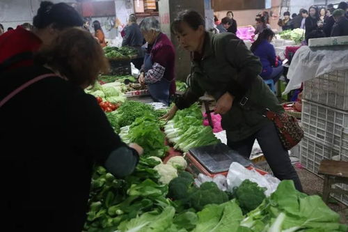 菜市场模拟器必看！破解碰撞堆叠、高效员工管理与酿酒器高招