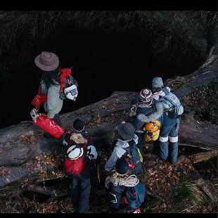 赛尼尔深渊票礼包必买攻略:解锁隐藏福利! 赛尼尔深渊票礼包必买攻略:解锁隐藏福利!