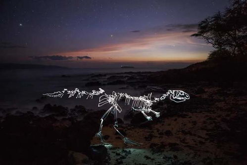 夜晚小飞马摄影技巧,解锁《无限暖暖》独特夜景玩法攻略 夜晚小飞马摄影技巧,解锁《无限暖暖》独特夜景玩法攻略