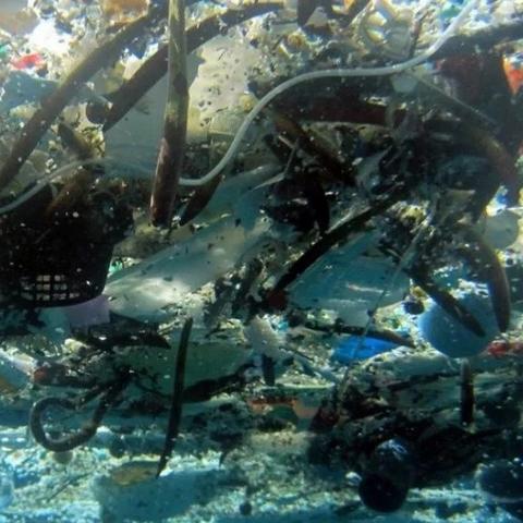 解锁《死亡搁浅2》神秘实验室：地球物理研究新篇章等你探索