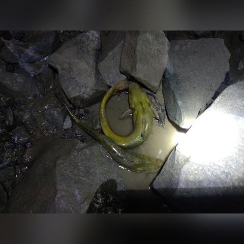 《死亡搁浅2》揭秘:气温影响大揭秘!如何应对严寒挑战? 《死亡搁浅2》揭秘:气温影响大揭秘!如何应对严寒挑战?