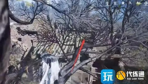 《燕云十六声》六疾哀鸣任务攻略：高效通关秘籍大揭秘