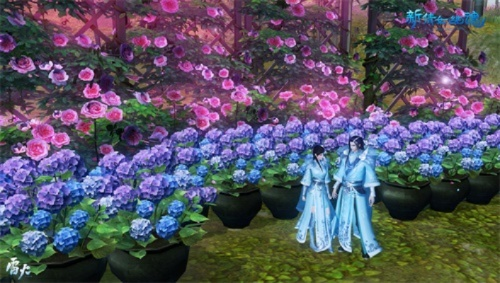 《剑星》绣球花服装轻松拿！揭秘高效获取绣球花攻略