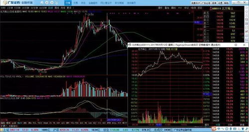 《CastnChill》攻略必看：独家购买技巧+特色玩法深度解析