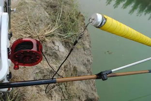 《幻想生活i》钓竿熟成技巧解析，解锁高效钓鱼新境界