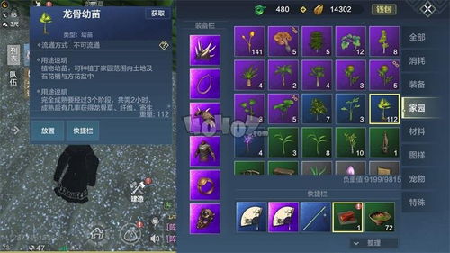 剑星维生包拓展全攻略：高效收集技巧揭秘