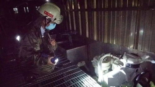 《艾尔登法环》雨后送死流攻略：揭秘黑夜君临独门技巧