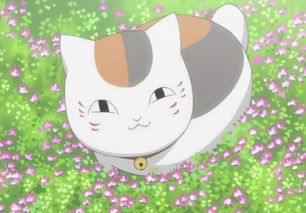 《夏目友人帐》揭秘：叶月之记中猫咪老师隐藏位置攻略！