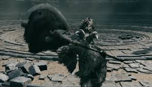 《艾尔登法环》黑夜君临迅闪老狮子攻略：高效打法揭秘！