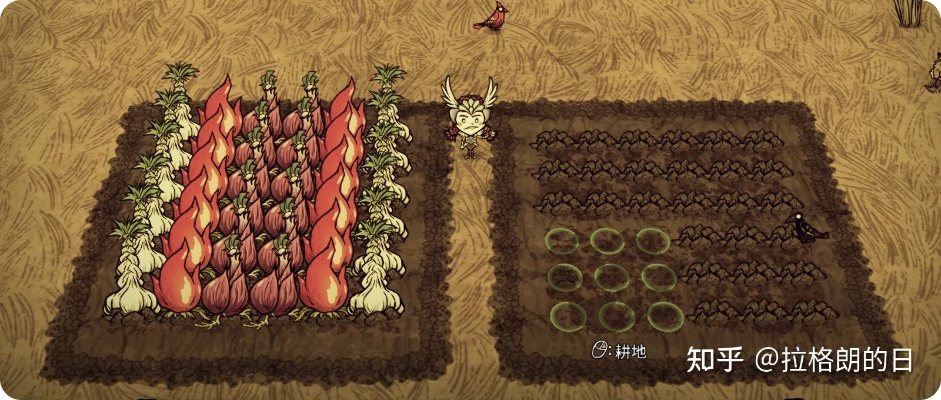 农作物快速生长必备条件揭秘，幻想生活i据点新攻略！