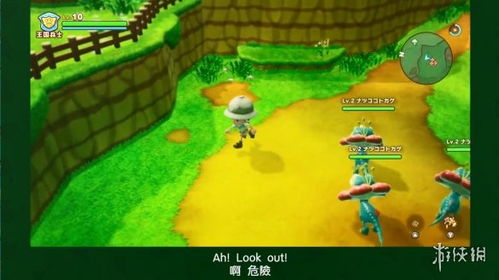 《幻想生活i》遥樱岛全攻略：高效收集材料秘籍大揭秘