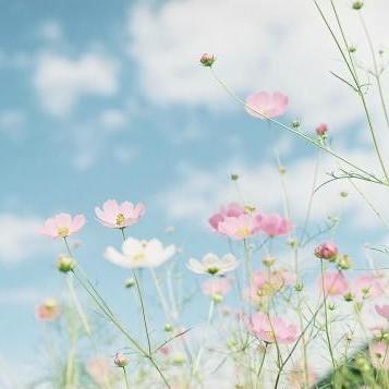 《心之眼》豪华版独享内容大揭秘:解锁游戏新境界! 《心之眼》豪华版独享内容大揭秘:解锁游戏新境界!