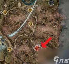 《艾尔登法环》黑夜雾霾卡莉果攻略：雾中裂缝BOSS战必胜技巧揭秘