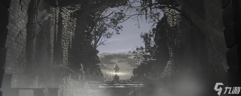 《艾尔登法环》揭秘:黑夜君临中的神秘随机事件盘点,深度攻略! 《艾尔登法环》揭秘:黑夜君临中的神秘随机事件盘点,深度攻略!