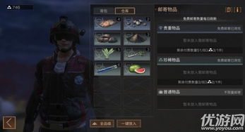 《光与影33号远征队》绯红森林攻略秘籍：全收集技巧深度解析