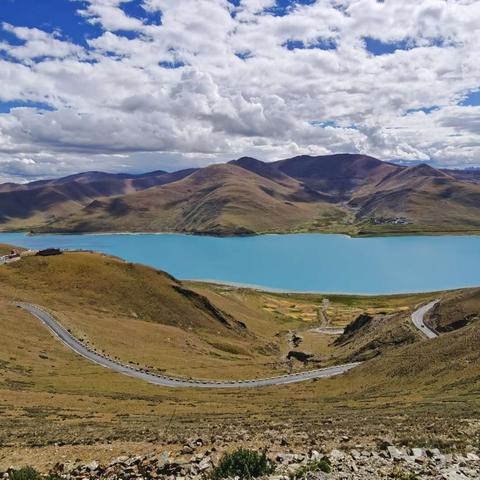 世家书籍性价比之选，《吾今有世家》揭示超值效果攻略