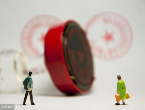 《吾今有世家》家族培养必看攻略：高效提升家族实力的秘诀