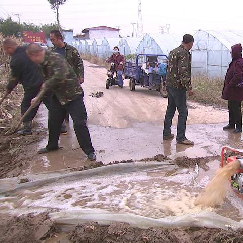 《灾后修复师》全攻略揭秘：新手必看高效通关技巧解析