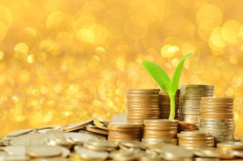 《吾今有世家》快速金币攻略：揭秘高效赚钱技巧，轻松翻倍收益