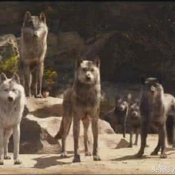 《饿狼传说群狼之城》角色超时动画独家揭秘，体验极致战斗魅力